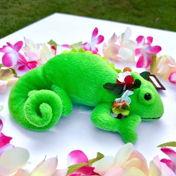 Adopt an Island Chameleon - Akela - Picture 1 of 4